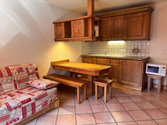 Bel appartement - Près d'un accès pistes !